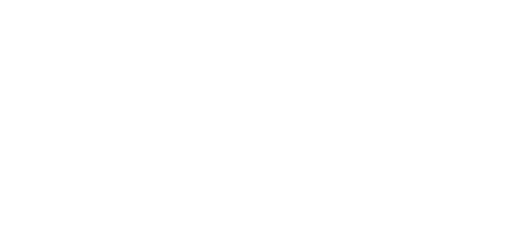 romisy-logo